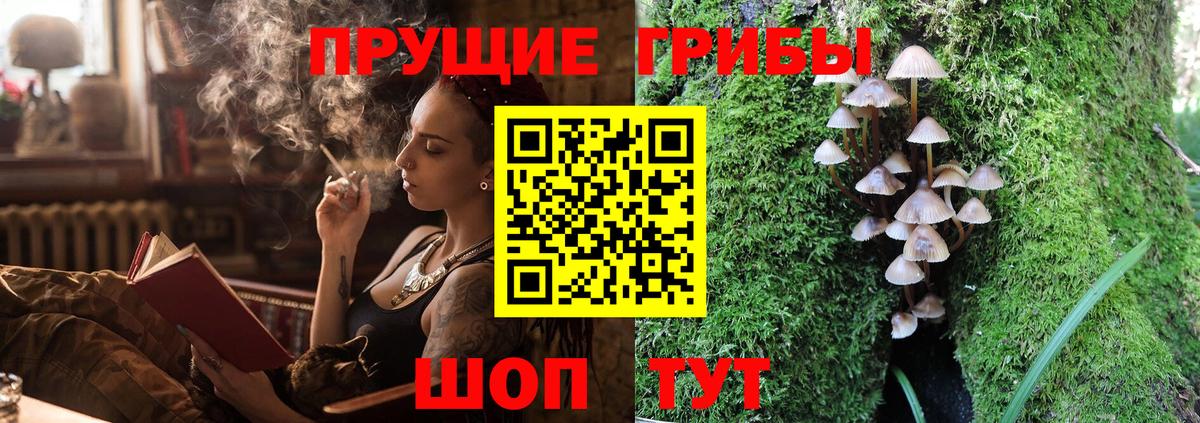 Псилоцибиновые грибы мухоморы Коломна