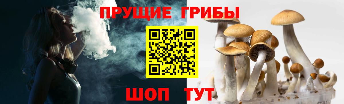 наркотики  Вход с VPN  Коломна  Галлюциногенные грибы MAGIC MUSHROOMS 